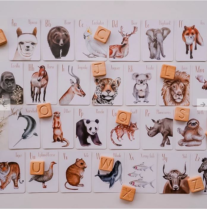 Animal Alphabet Flash Cards