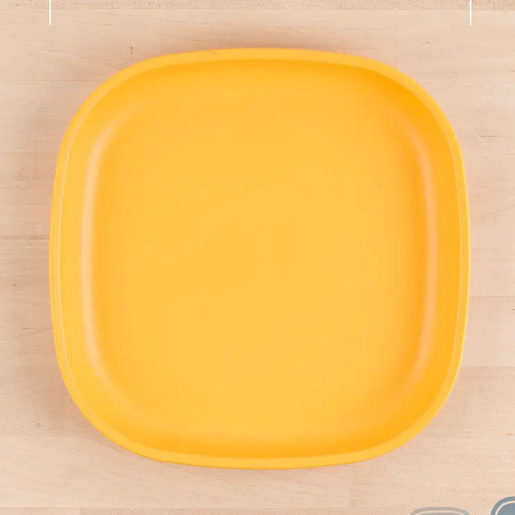 Re-Play Flat Plate