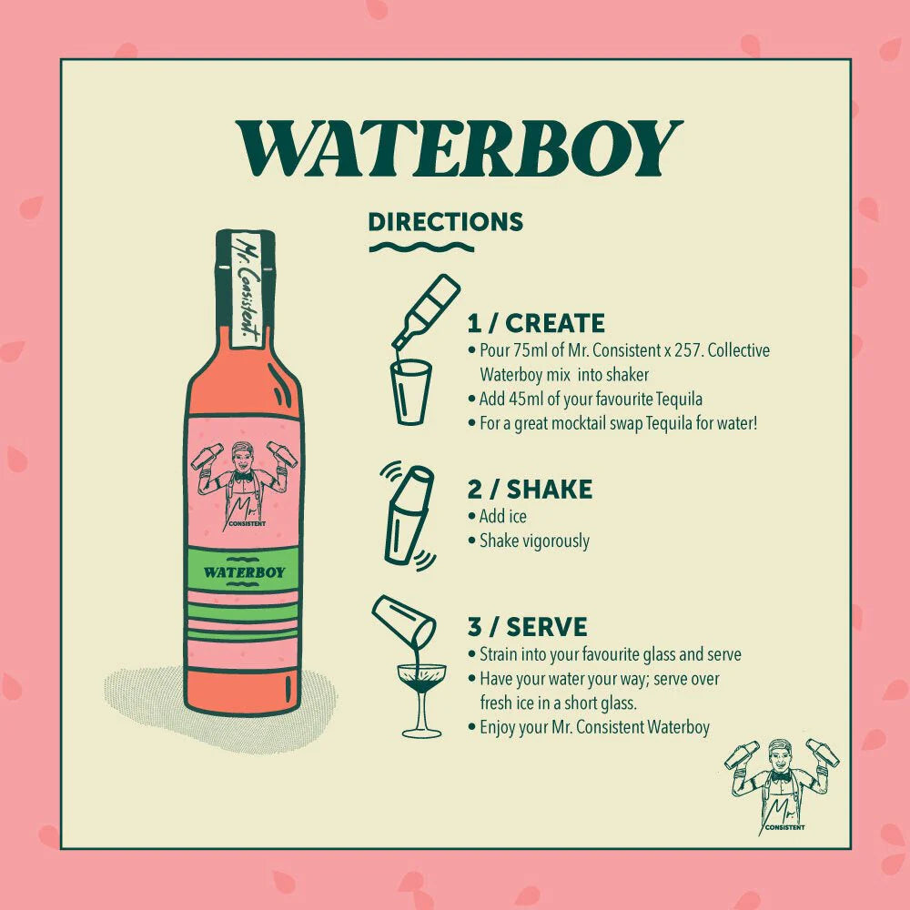 WATERBOY (Watermelon Margi) COCKTAIL MIXER