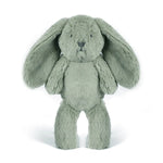 Load image into Gallery viewer, Little Beau Bunny Sage Soft Toy 10&quot; / 25cm
