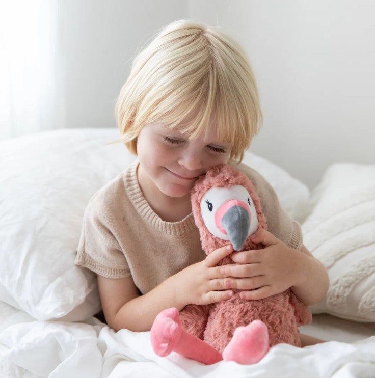 Francesca The Weighted Flamingo