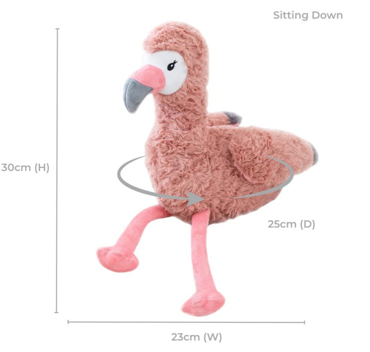 Francesca The Weighted Flamingo