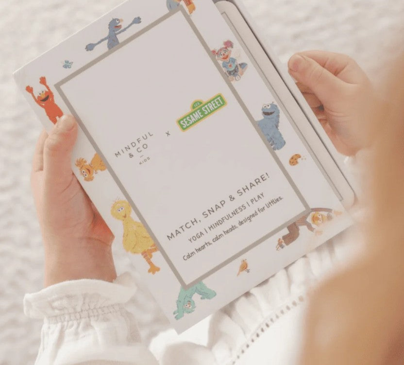 Sesame Street 3-in-1 Card Game